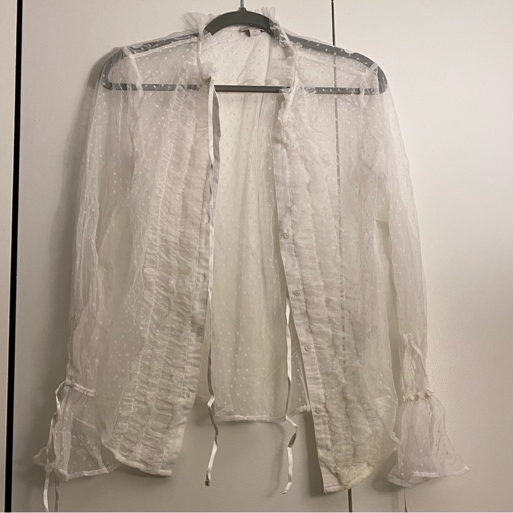 Sheer ruffle top